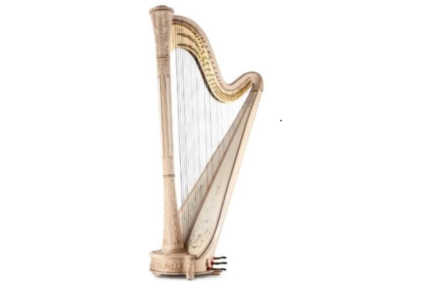 PŘEHRÁVKA * Markéta Doubravská, harfová třída